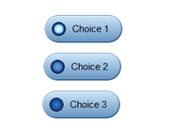 Fancy Radio Button