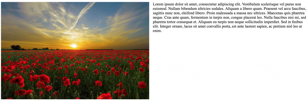 Aligning Images: A Guide - CSS Reset